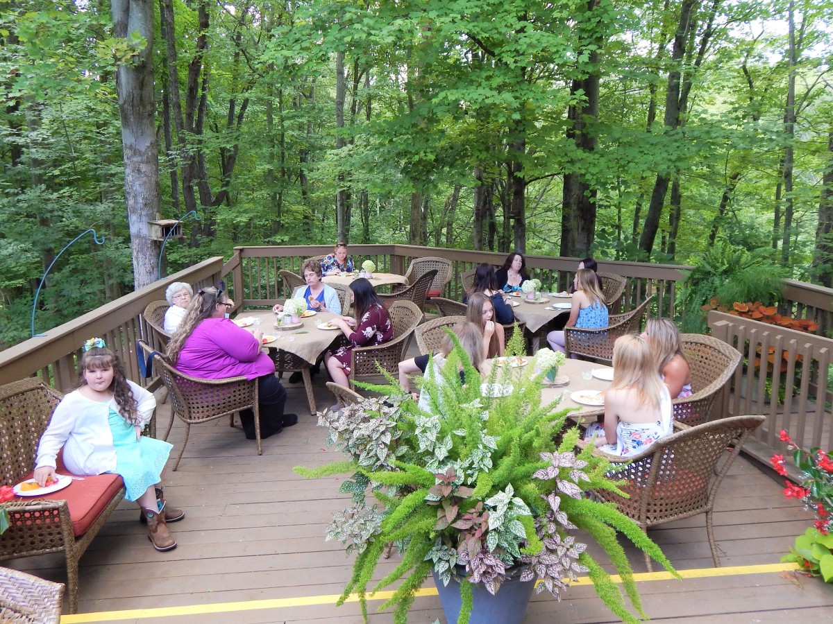 Beech Creek Botanical Garden and Nature Preserve Visit Canton